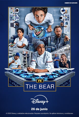 The Bear T4